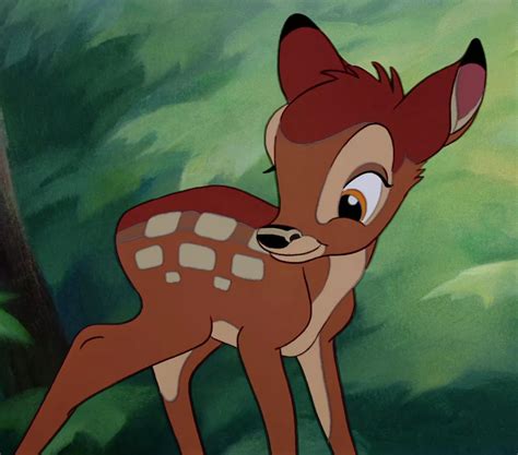 bambi wikia|More.